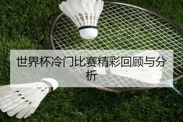 世界杯冷门比赛精彩回顾与分析